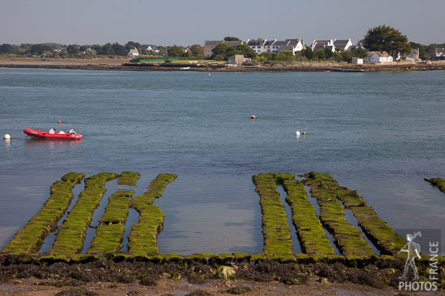 Oyster farm at nestadio