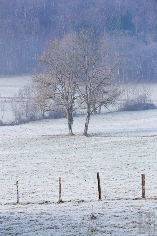 Vingeanne valley