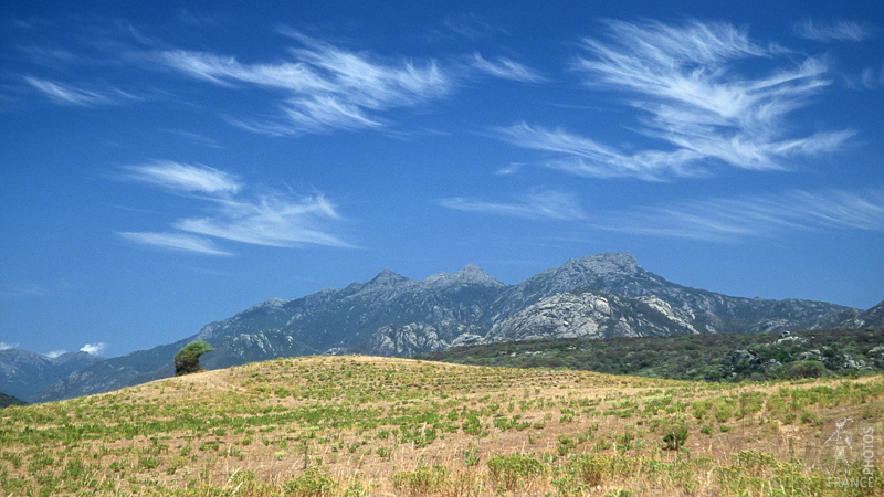 Maquis and clouds