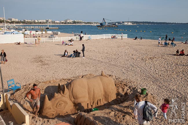 Cannes beach rhino