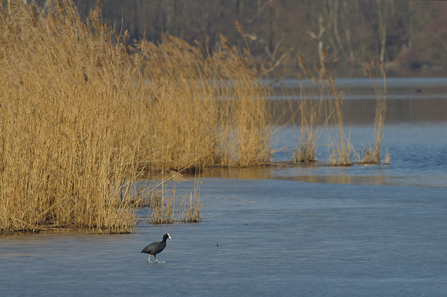 Ice walk