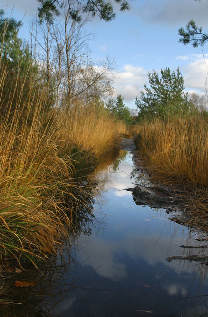 Flooded path