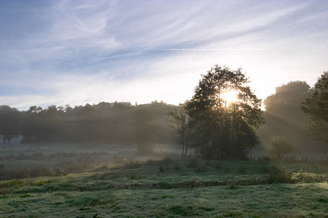 Early morning sun rays