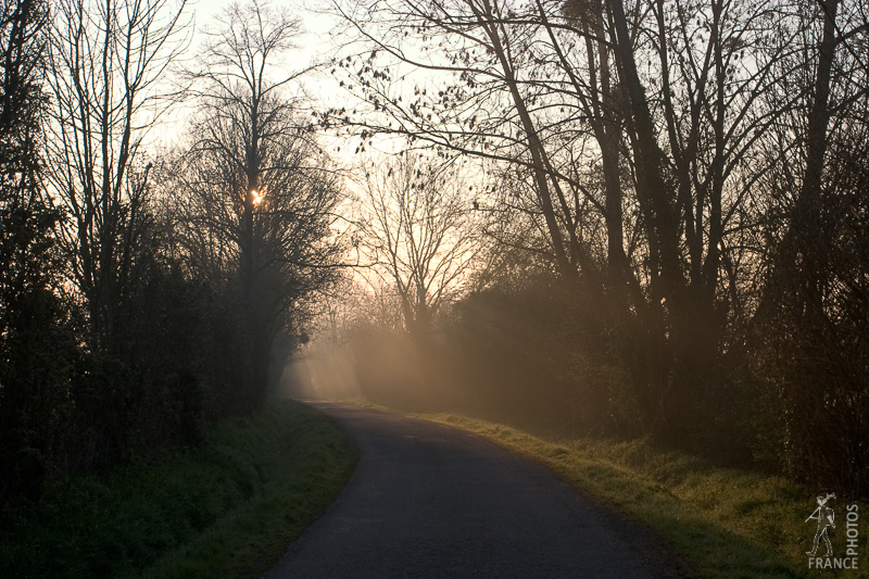 Misty road