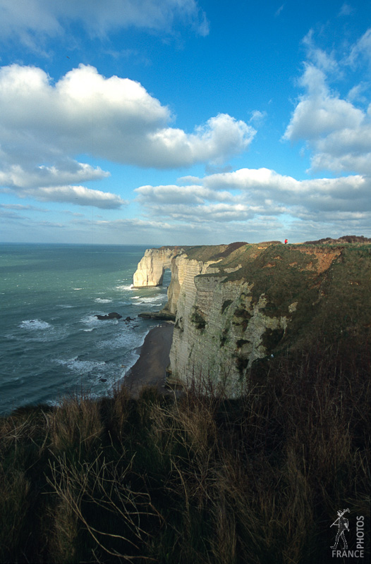 Etretat cliffs vegetation