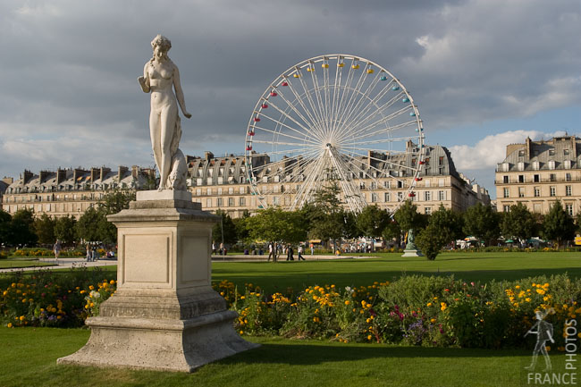 Nymph and ferris wheel