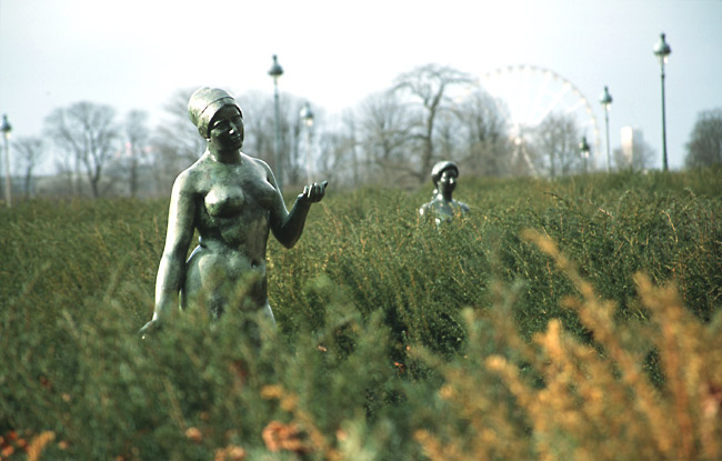 Women in the fields